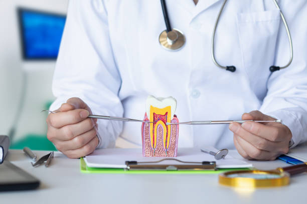 Best Emergency Wisdom Teeth Removal in Clearfield, PA